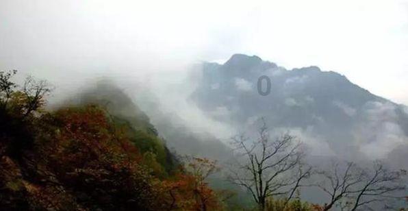 唯一的幸存者