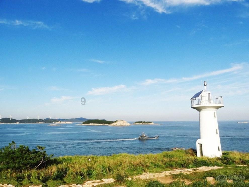 虫虫助手下载