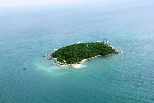 虫虫助手下载