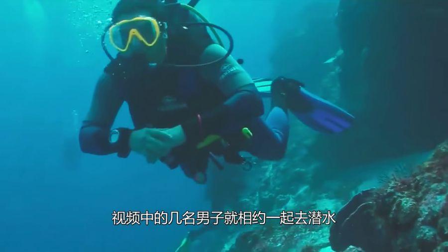 植物大战僵尸21