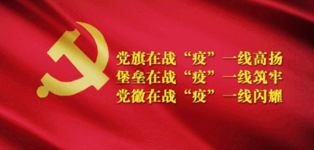 竹柏的养殖方法和注意事项