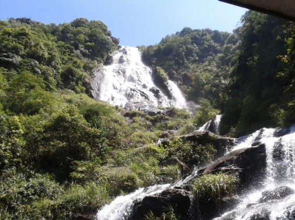 中润德驾校驾校怎么样知识星球平台,共享精品知识