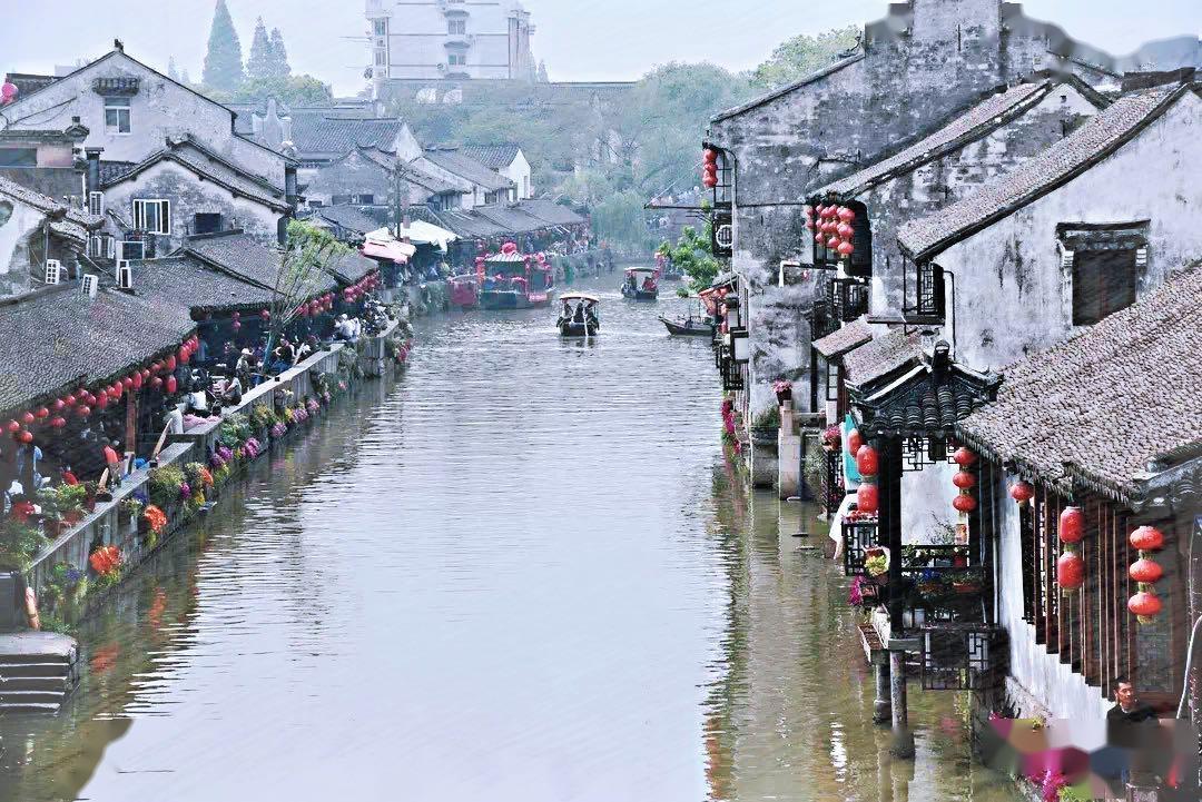 虎胆熊威3