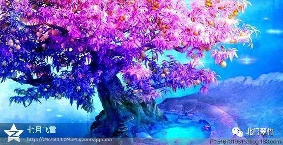 泰国逃亡女总理英拉,变身中国公司董事长?风光依旧惹人爱