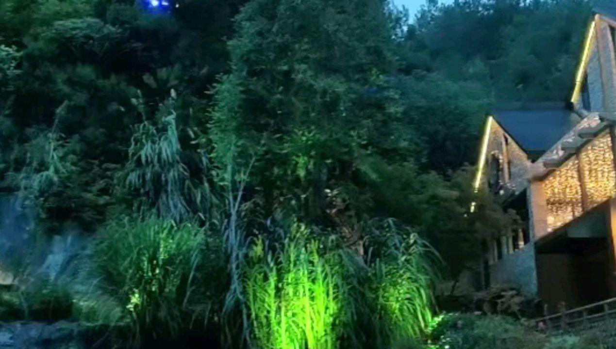 探索冷知识的为什么孩子会粗心呢?平台,解锁属于你的另类世界!